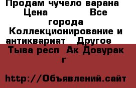 Продам чучело варана › Цена ­ 15 000 - Все города Коллекционирование и антиквариат » Другое   . Тыва респ.,Ак-Довурак г.